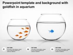 Powerpoint template and background with goldfish in aquarium