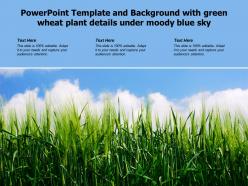 Powerpoint template and background with green wheat plant details under moody blue sky