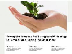 Powerpoint template and background with image of female hand holding the small plant