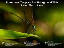 Powerpoint template and background with insect macro laos