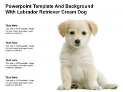 Powerpoint template and background with labrador retriever cream dog
