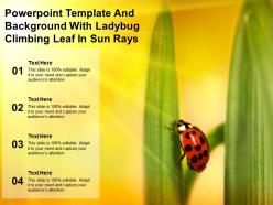 Powerpoint template and background with ladybug climbing leaf in sun rays