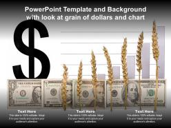 Powerpoint template and background with look at grain of dollars and chart