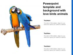 Powerpoint template and background with love birds animals