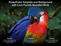 Powerpoint template and background with love parrots beautiful birds