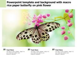Powerpoint template and background with macro rice paper butterfly on pink flower