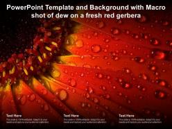 Powerpoint template and background with macro shot of dew on a fresh red gerbera