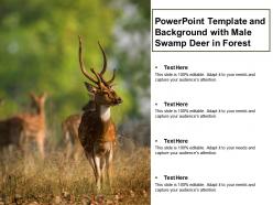 Powerpoint template and background with male swamp deer in forest