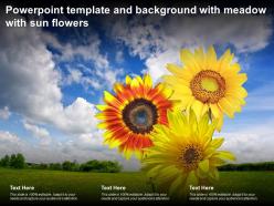 Powerpoint template and background with meadow with sun flowers