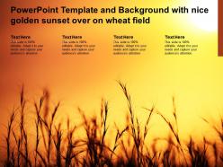 Powerpoint template and background with nice golden sunset over on wheat field