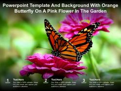 Powerpoint template and background with orange butterfly on a pink flower in the garden