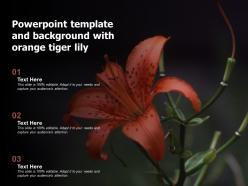 Powerpoint template and background with orange tiger lily