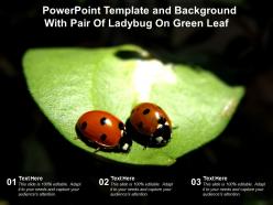 Powerpoint template and background with pair of ladybug on green leaf