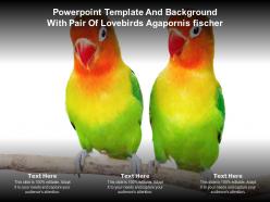 Powerpoint template and background with pair of lovebirds agapornis fischeri