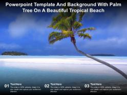 Powerpoint template and background with palm tree on a beautiful tropical beach
