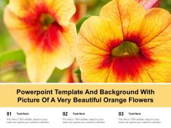 Powerpoint template and background with picture of a very beautiful orange flowers