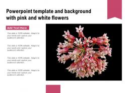 Powerpoint Template And Background With Pink And White Flowers