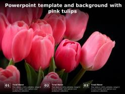 Powerpoint Template And Background With Pink Tulips