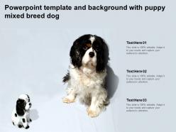Powerpoint template and background with puppy mixed breed dog