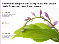 Powerpoint template and background with purple hosta flowers on branch and leaves