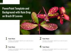 Powerpoint template and background with rain drop on brach of leaves