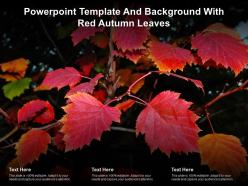 Powerpoint template and background with red autumn leaves