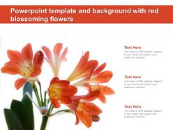 Powerpoint template and background with red blossoming flowers