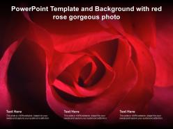 Powerpoint template and background with red rose gorgeous photo ppt powerpoint