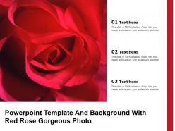 Powerpoint template and background with red rose gorgeous photo