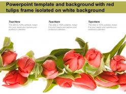 Powerpoint template and background with red tulips frame isolated on white background