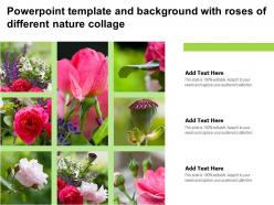 Powerpoint template and background with roses of different nature collage