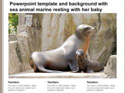 Powerpoint template and background with sea animal marine resting with her baby