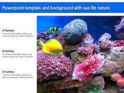 Powerpoint template and background with sea life nature