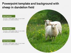 Powerpoint template and background with sheep in dandelion field