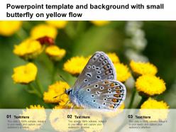 Powerpoint template and background with small butterfly on yellow flow