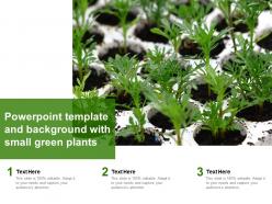 Powerpoint template and background with small green plants