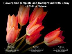 Powerpoint template and background with spray of tulips nature