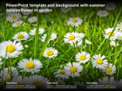 Powerpoint template and background with summer daisies flower in garden