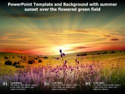 Powerpoint template and background with summer sunset over the flowered green field