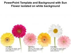 Powerpoint template and background with sun flower isolated on white background