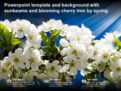 Powerpoint template and background with sunbeams and blooming cherry tree by spring