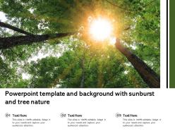 Powerpoint template and background with sunburst and tree nature