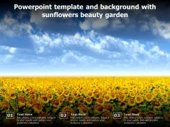 Powerpoint template and background with sunflowers beauty garden
