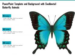 Powerpoint template and background with swallowtail butterfly animal