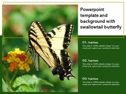 Powerpoint template and background with swallowtail butterfly