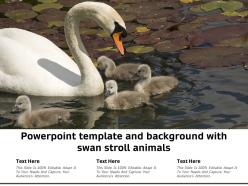 Powerpoint template and background with swan stroll animals