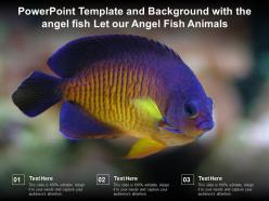 Powerpoint template and background with the angel fish let our angel fish animals