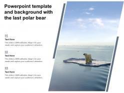 Powerpoint template and background with the last polar bear
