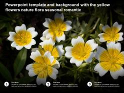 Powerpoint template and background with the yellow flowers nature flora seasonal romantic