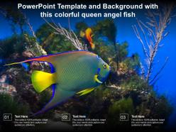 Powerpoint template and background with this colorful queen angel fish